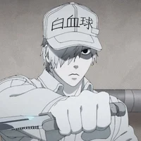 00 White blood cell