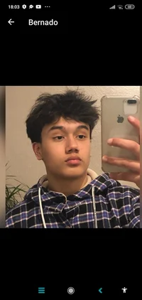 Bernado