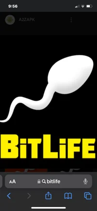 BitLife