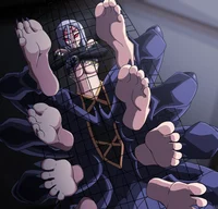 Rachnera Arachnera