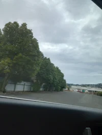 Your Anime Boyfriend