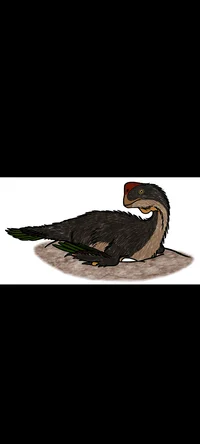 Oviraptor 