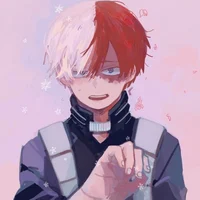 Todoroki Shoto 