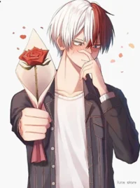 shoto todoroki