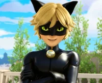 Chat noir