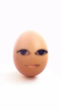 egg