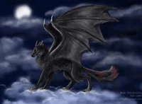 DarkDragonWolf