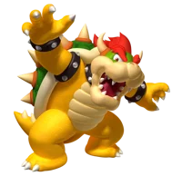Bowser RPG