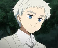 Norman - TPN