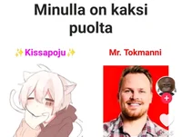 Mr Tokmanni