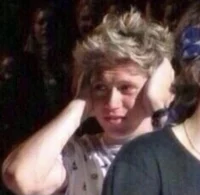 Niall horan -Fetus-
