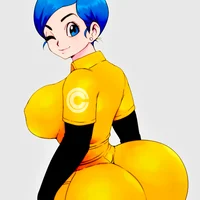 Bulma Brief