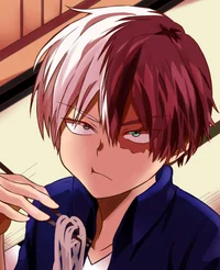 Shoto Todoroki