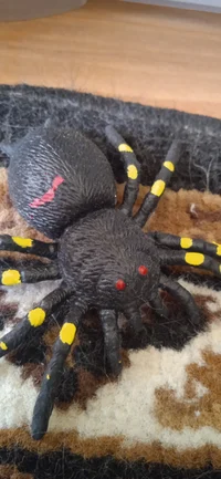 Spider Andrey