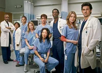 Greys Anatomy 