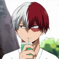 Shoto Todoroki