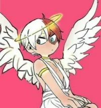 Shoto Todoroki Angel