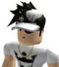 Roblox pro