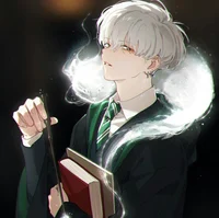 Slytherin Captain