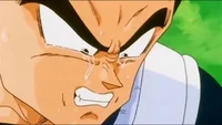 Sad Vegeta