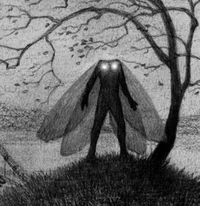 The Mothman