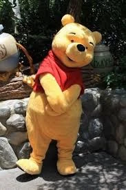 Winnie the Pooh masc