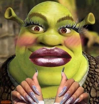 Shrek menina