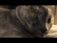 Hfcfurtcturcttcrutcr