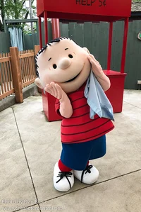 real Linus Van Pelt