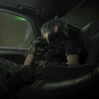 Noctis Lucis Caelum