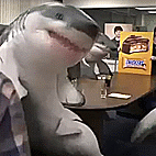 Snickers Sharks