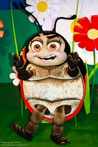 real Francis LadyBug