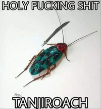 Tanjiroach