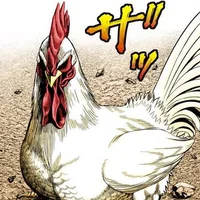 Keiji The Rooster