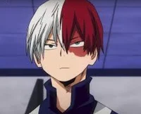Shoto Todoroki