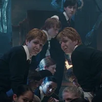 weasley twins 