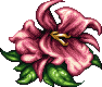 Rafflesia -FFVI-