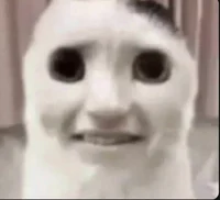 poot