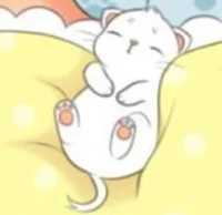 sleepy kitty