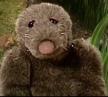 Morely the Mole