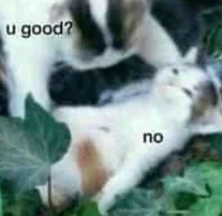 Blck2 Family reunion