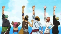 The straw Hats