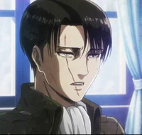 Levi Ackerman 
