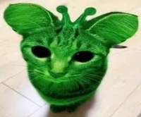 Alien Cat