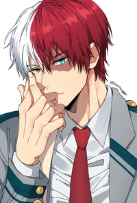 Shoto Todoroki