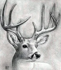 a_dad_is_what_i_need