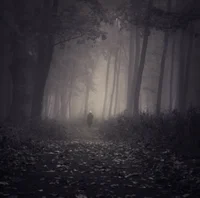 Lost man in the wood