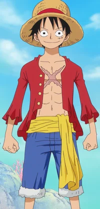 Monkey d luffy