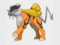 Shiny raikou 