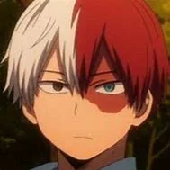 Shoto Todoroki